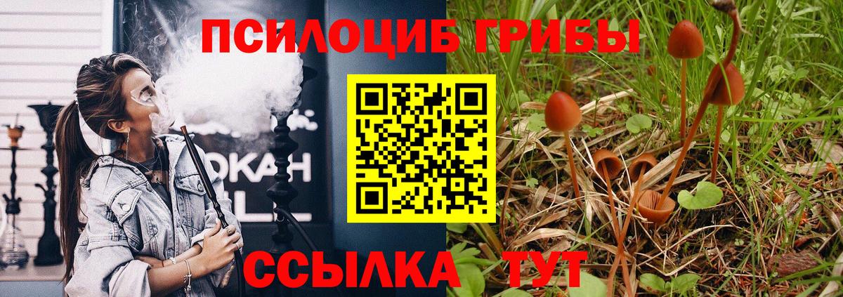Псилоцибиновые грибы Magic Shrooms  Вход с VPN  что такое наркотик  Галлюциногенные грибы мицелий  Шали 