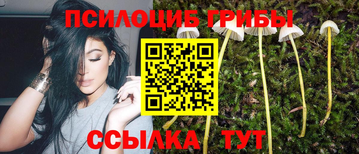 Псилоцибиновые грибы Magic Shrooms Шали